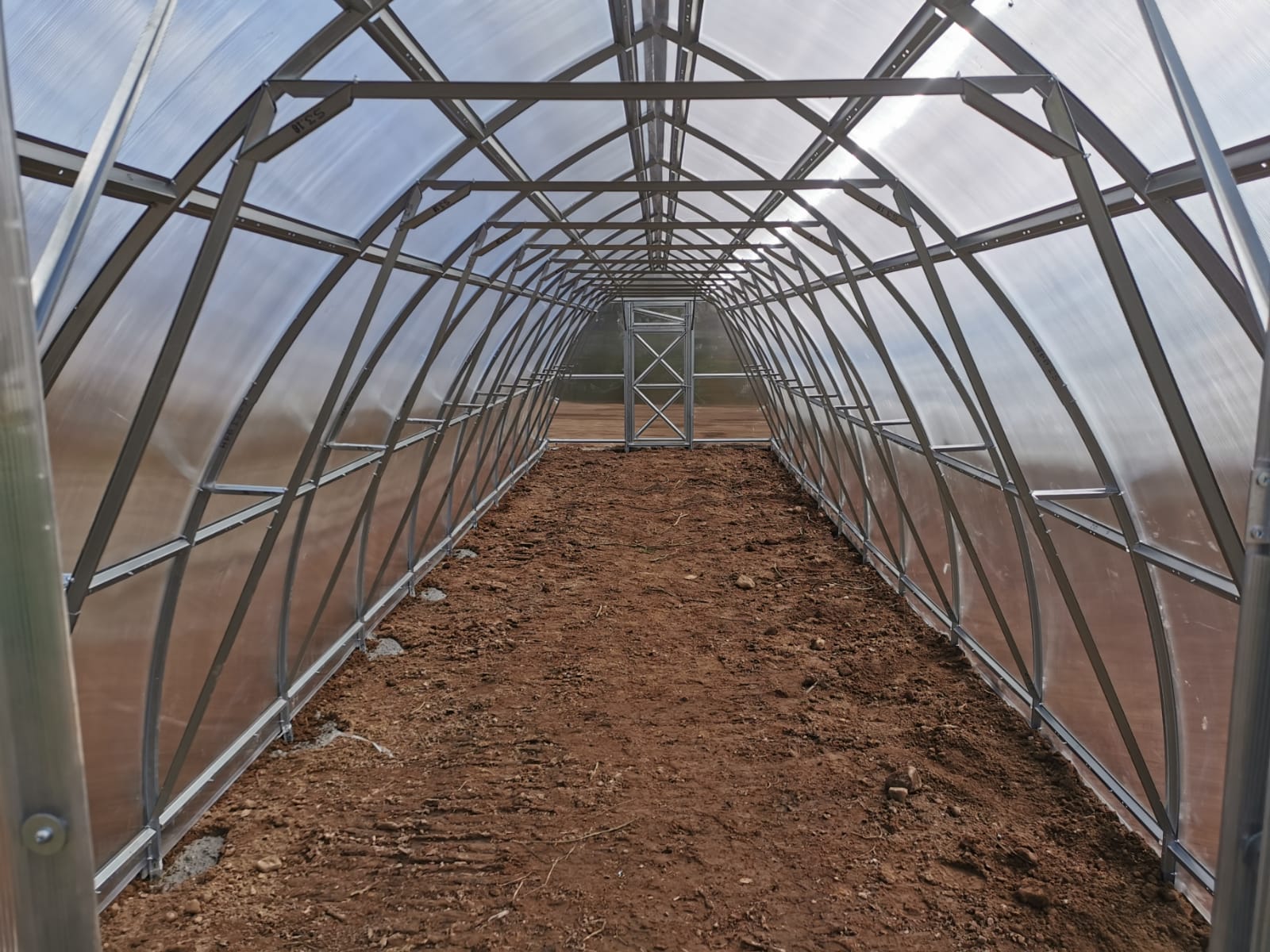 SKY greenhouse interior view